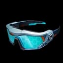 Gafas de adiestrador Pal