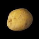 Patata