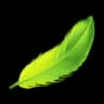 Pluma de Tocotoco