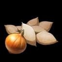 Semillas de cebolla