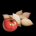 Semillas de tomate
