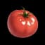 Tomate