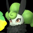 Nitemary Botan