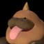 Polapup Terra